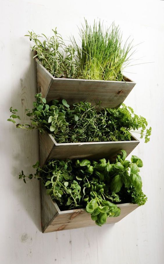 Decorar la cocina con plantas
